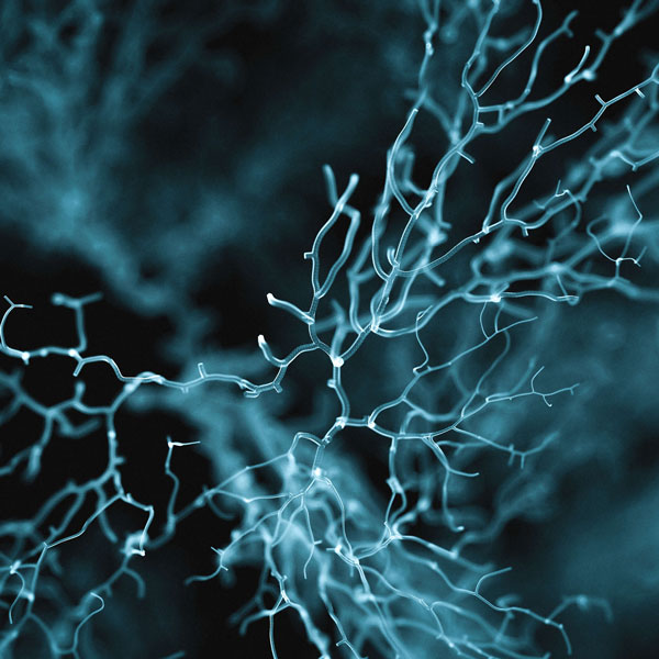 01-img-02-neurofeedback
