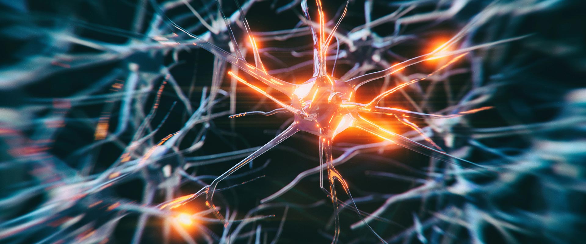02-neurofeedback